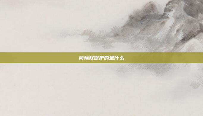 商标权保护的是什么
