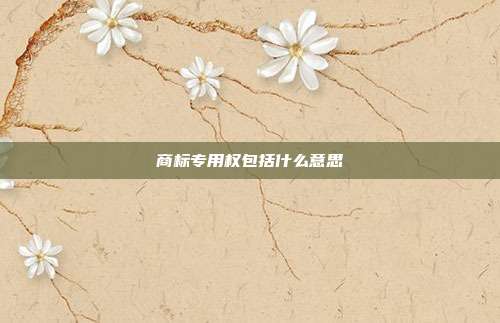 商标专用权包括什么意思