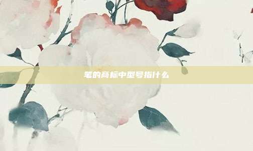 笔的商标中型号指什么