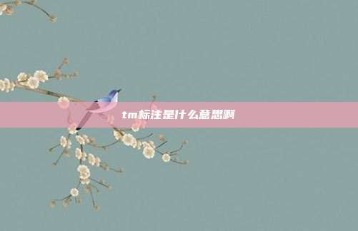 tm标注是什么意思啊
