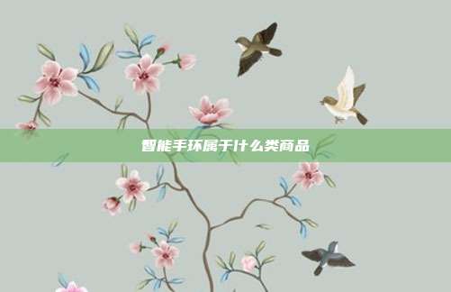 智能手环属于什么类商品