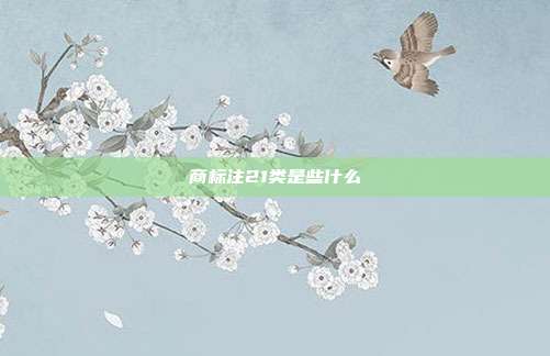 商标注21类是些什么