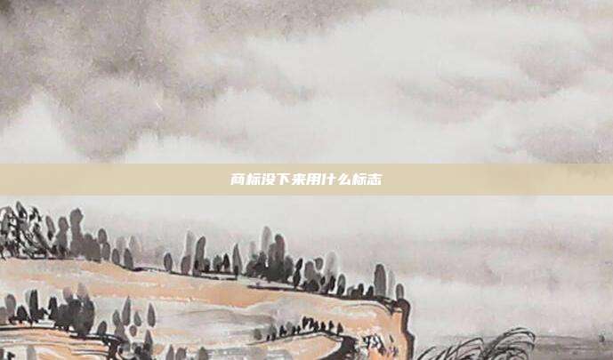 商标没下来用什么标志