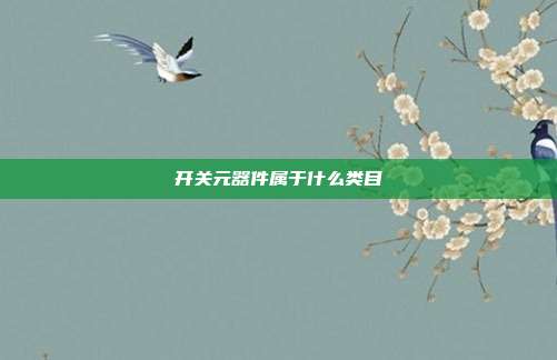 开关元器件属于什么类目