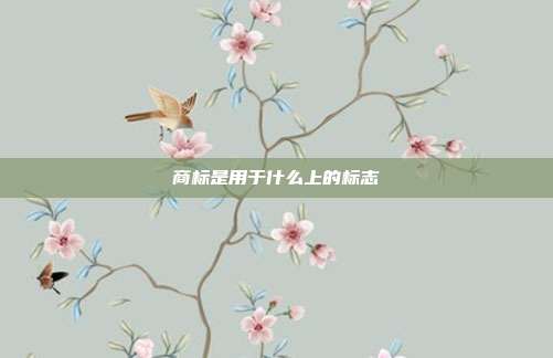 商标是用于什么上的标志