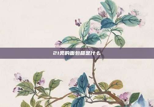 21类的面包箱是什么