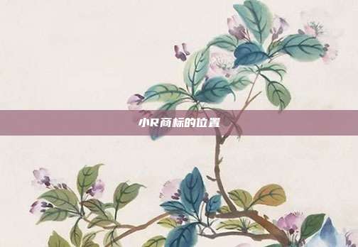 小R商标的位置
