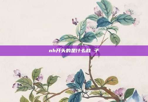 nh开头的是什么鞋 子