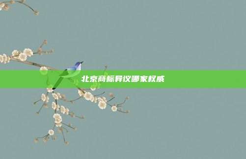 北京商标异议哪家权威
