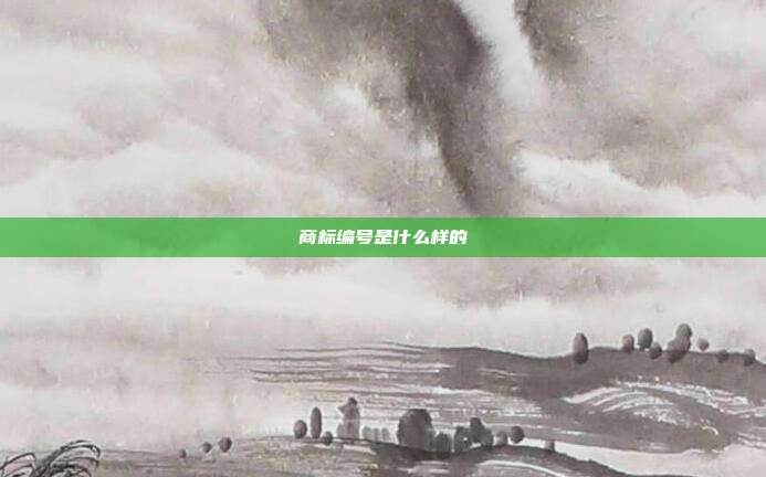商标编号是什么样的