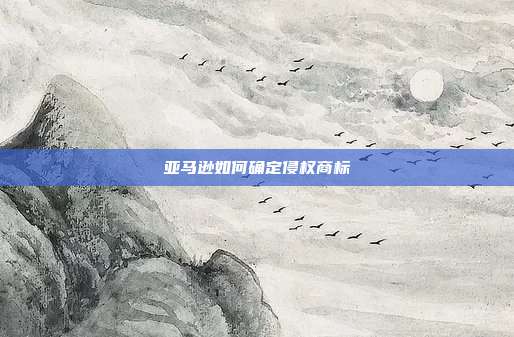 亚马逊如何确定侵权商标
