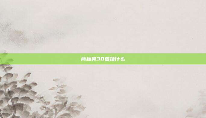 商标类30包括什么