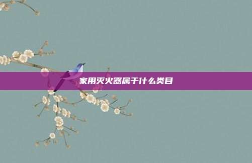 家用灭火器属于什么类目