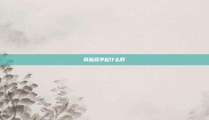 商标名字起什么好