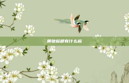 奥驰标都有什么标