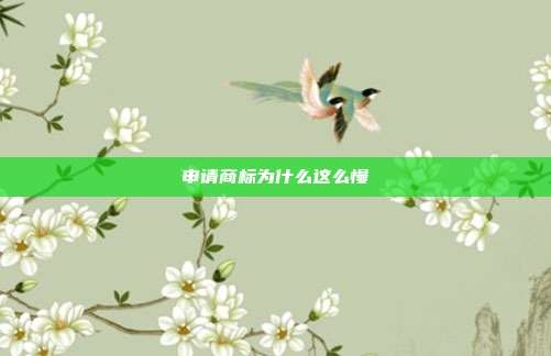 申请商标为什么这么慢