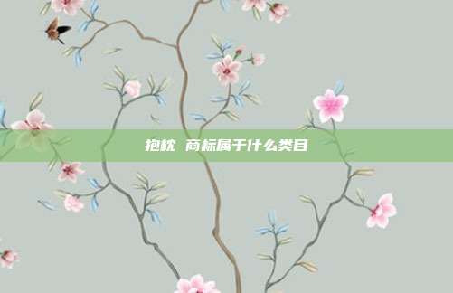 抱枕 商标属于什么类目