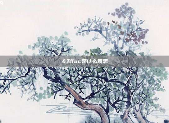 专利loc是什么意思