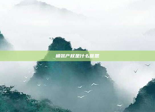 桶装产权是什么意思