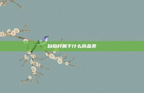 自拍杆属于什么商品类