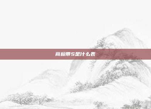 商标带S是什么表