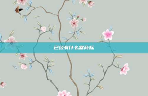 已经有什么堂商标
