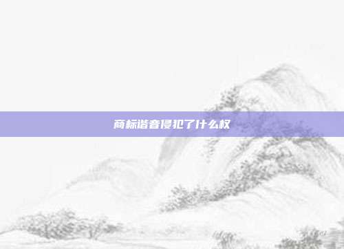 商标谐音侵犯了什么权