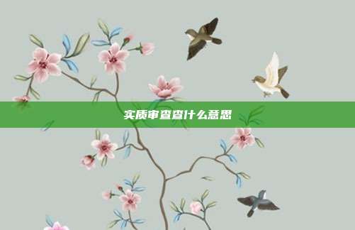 实质审查查什么意思