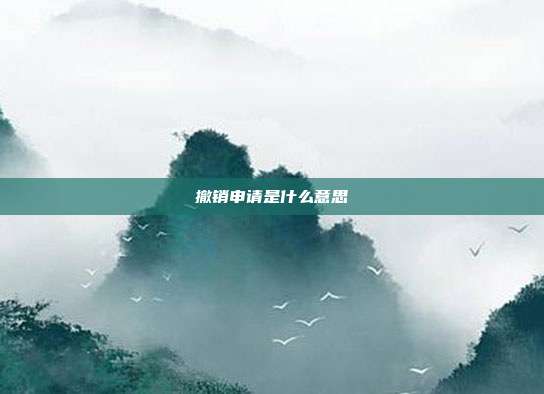 撤销申请是什么意思