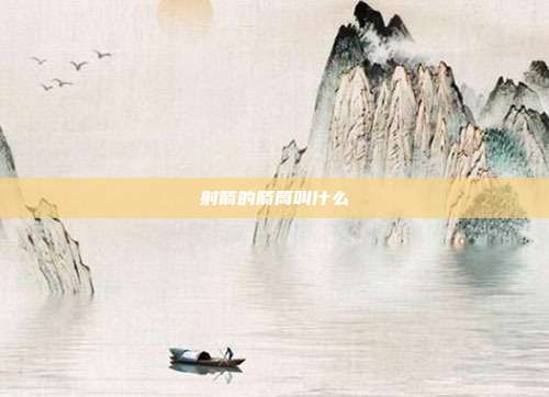 射箭的箭筒叫什么