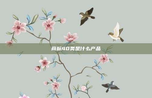 商标40类是什么产品