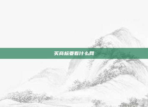 买商标要看什么网