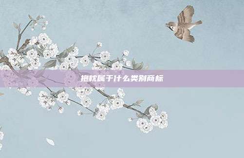 抱枕属于什么类别商标