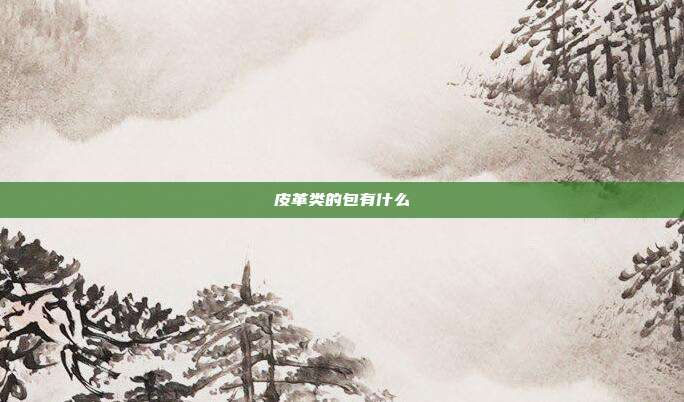 皮革类的包有什么