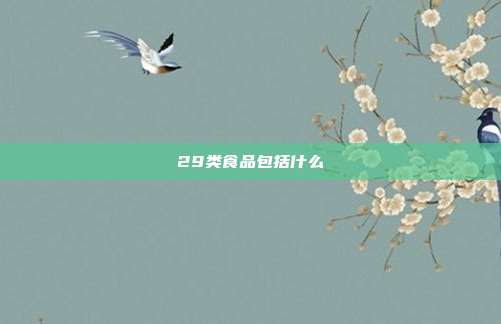 29类食品包括什么