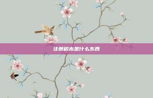 注册积木是什么东西