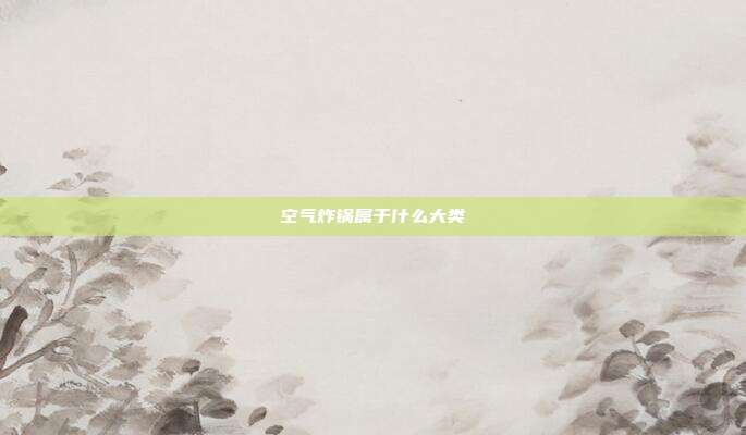 空气炸锅属于什么大类