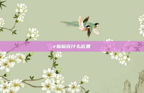 r标标在什么位置