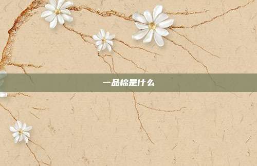 一品棉是什么