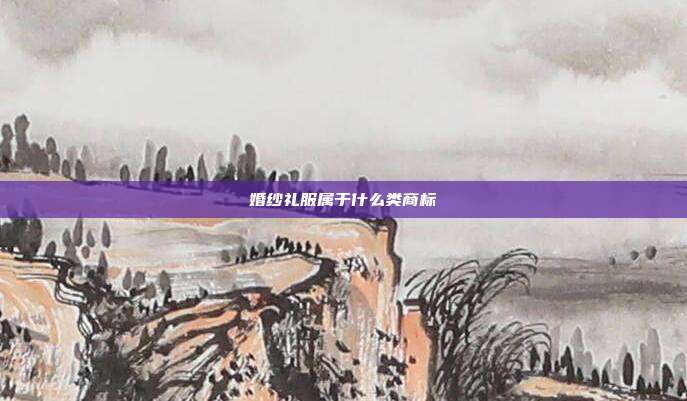 婚纱礼服属于什么类商标