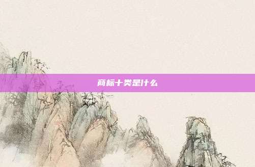 商标十类是什么