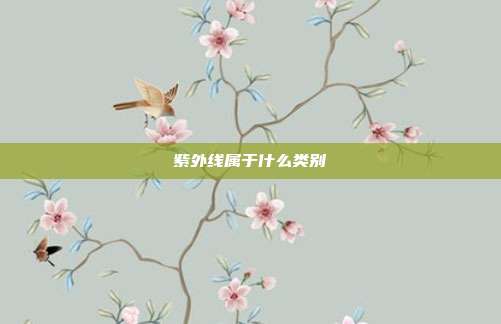 紫外线属于什么类别