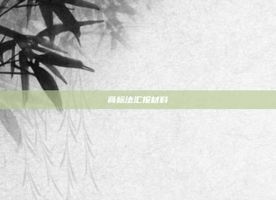 商标法汇报材料