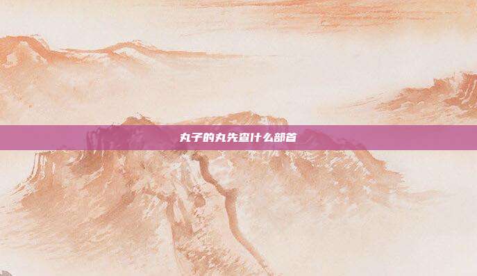 丸子的丸先查什么部首