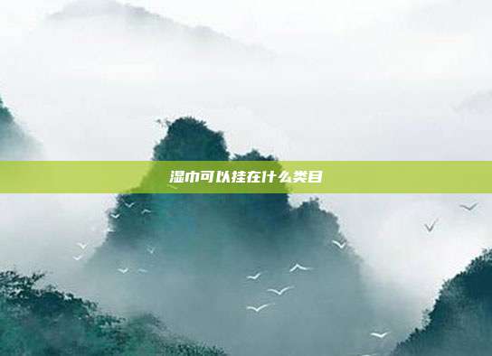 湿巾可以挂在什么类目
