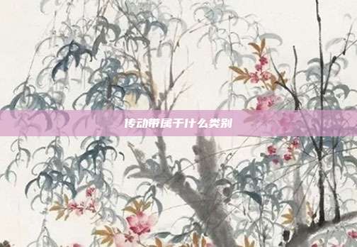 传动带属于什么类别