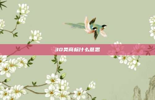 30类商标什么意思
