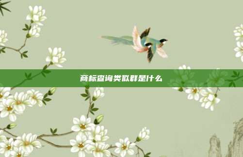 商标查询类似群是什么