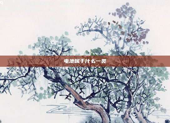 电池属于什么一类