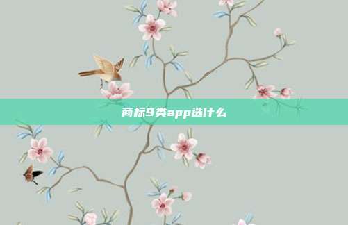 商标9类app选什么